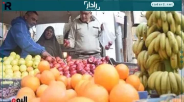 ارتفاع أسعار الفاكهة في مطروح اليوم الأحد مع البرتقال بـ20 جنيهاً